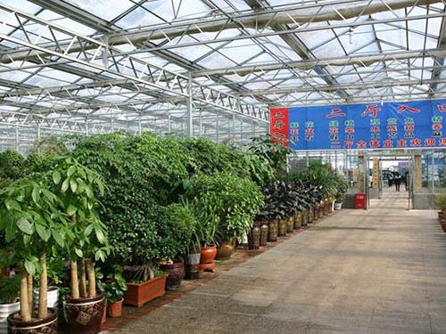 青州国际花卉市场施工