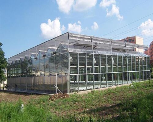 新型阳光板温室承建