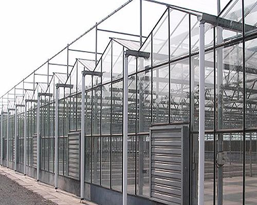 采摘观光玻璃温室建造