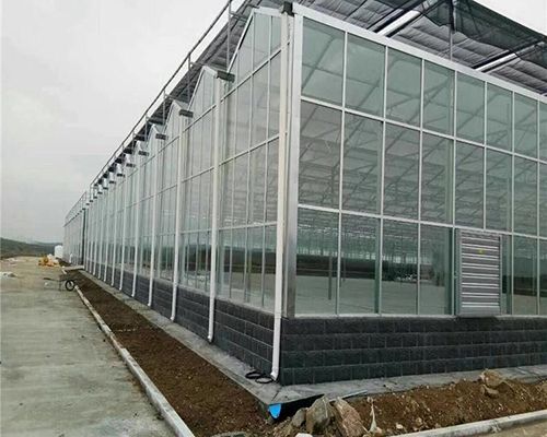 大型阳光板温室大棚