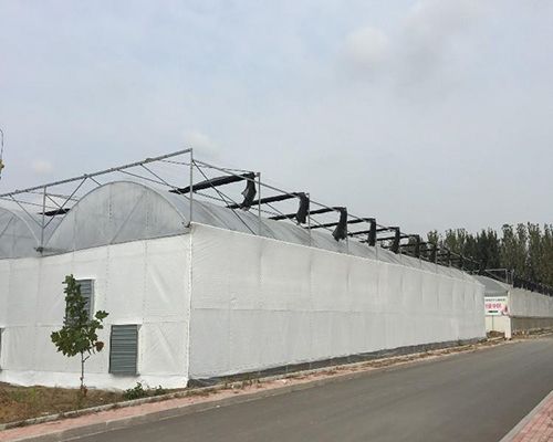 农业种植薄膜连栋大棚